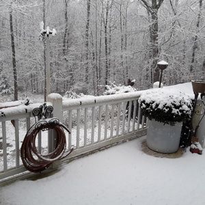 Meet your Posher, Debbie